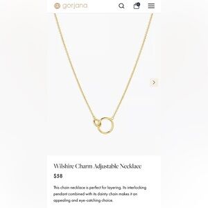 Delicate charm necklace